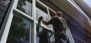 Window Tint